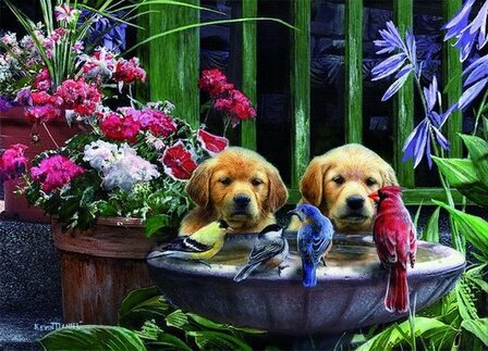 05668 King Puzzel Puppies Drinking Water 1000 Stukjes