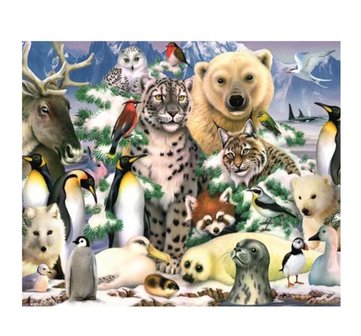 05485 King Puzzel Artic Life 1000 Stukjes 