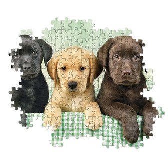 96502 Clementoni Puzzel Labrador 1000 stukjes