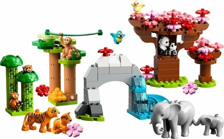 10974 LEGO DUPLO Wilde Dieren Van Azi&euml;