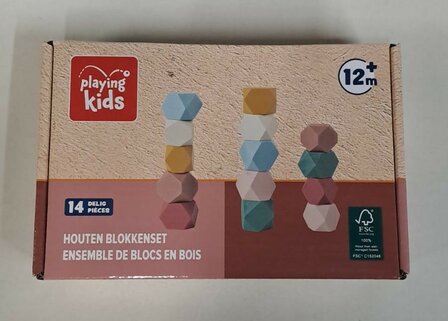 38231 Playing Kids Houten Blokkenset Pastel 14-delig