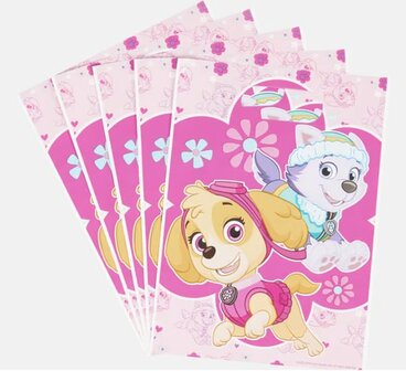 56018 Paw Patrol Feestzakjes Skye &amp; Rocky Roze 10 stuks