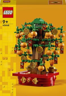 40648 LEGO Iconic Geldboom