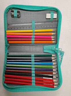 22276 Gabby&#039;s Dollhouse Etui Gevuld  