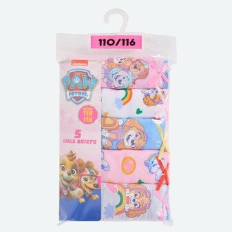 09528 Paw Patrol Skye Slip Maat 98-104 &nbsp;5 stuks