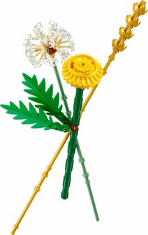 30701 LEGO Botanicals Veldbloemen (paperbag)