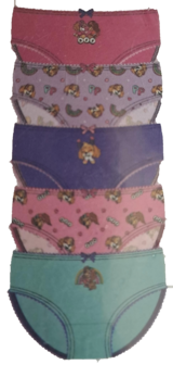 04486 Paw Patrol Skye Slip Maat 122-128 5 stuks