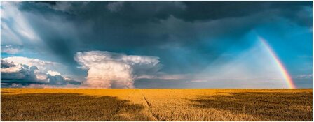 174935 Ravensburger Puzzel Mystieke regenboog 1000 stukjes