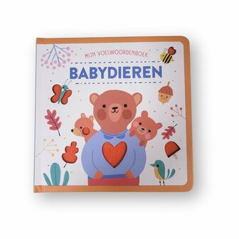 45562 Mijn voel woordenboek