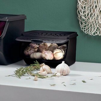 41553 Tupperware Knoflook Smart 2,3 l  Zwart 1 stuk(s)