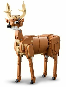 31166 LEGO Creator 3in1 Prachtig Paard