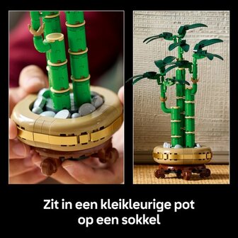 10344 LEGO Botanicals Bamboe
