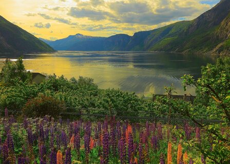 167432 Ravensburger Puzzel Fjord in Noorwegen 1000 stukjes