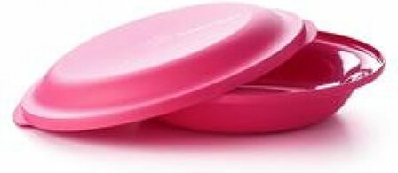 02233 Tupperware Aloha borden 2 stuks   