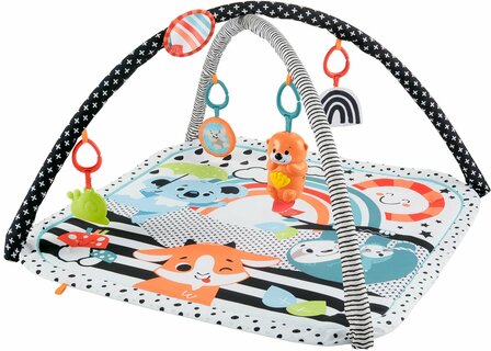 382279 Fisher-Price 3-in-1 Muziek Glow &amp; Grow Gym, Baby Speelmat
