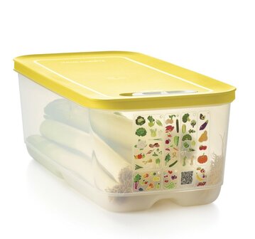 80964 Tupperware VentSmart Vershouddoos 6.1L Doorzichtig en Geel Deksel  