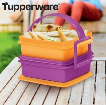 61876 Tupperware Easy Box to Go