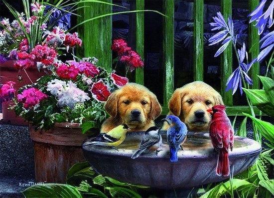 05668 King Puzzel Puppies Drinking Water 1000 Stukjes