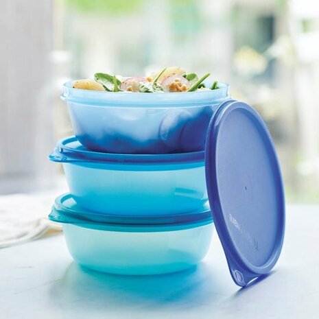 75659 Tupperware Ruimteschaaltjes 600ml (3)