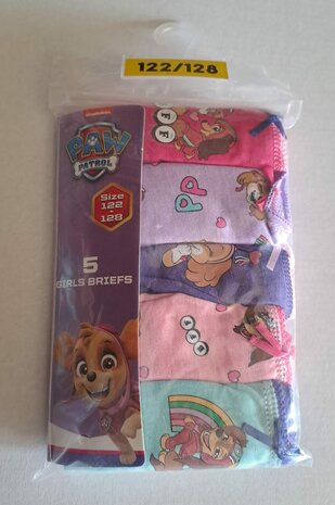 04486 Paw Patrol Skye Slip Maat 122-128 5 stuks