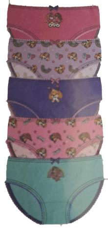 04486 Paw Patrol Skye Slip Maat 122-128 5 stuks