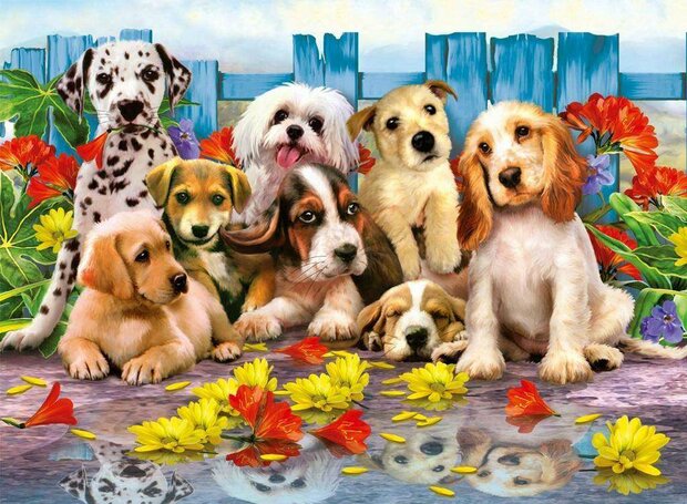 05034 Jumbo Puzzel Puppies at the Fence 1000 stukjes