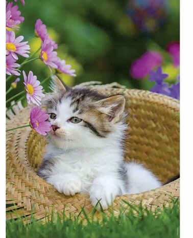 02321 Ravensburger Puzzel Kittens in the Countryside 2x500 stukjes