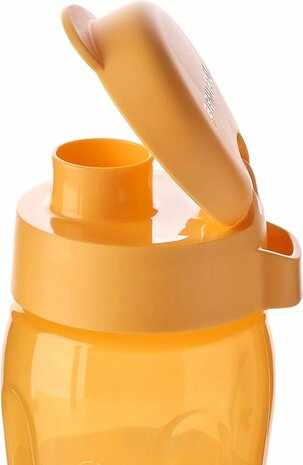 85319 Tupperware Essentials Eco Fles 500 ml Oranje