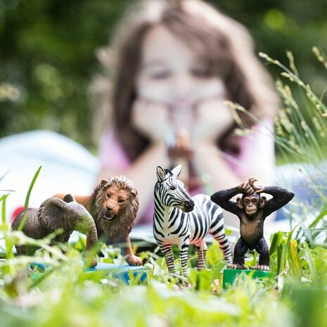 22085 Schleich WILD LIFE Starterset