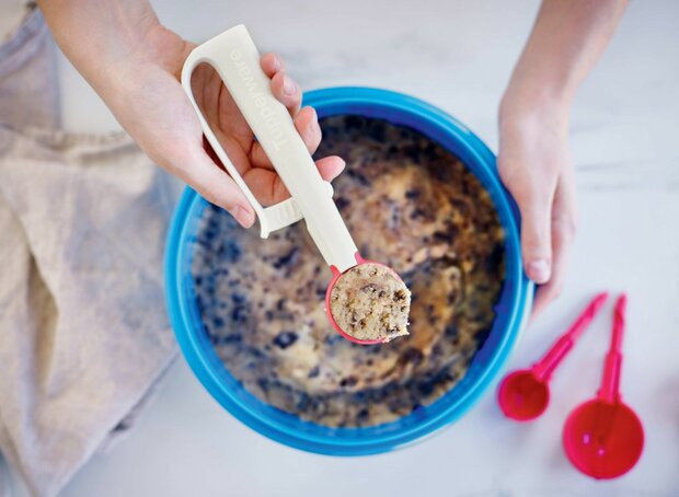 18783 Tupperware Click & Scoop