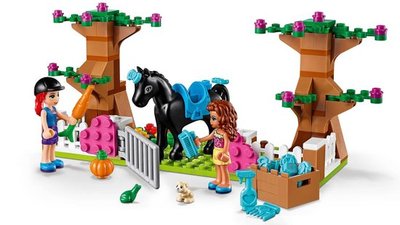 41431 LEGO Friends Heartlake City Obergdoos