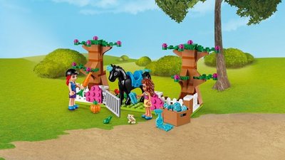 41431 LEGO Friends Heartlake City Obergdoos