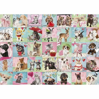 81901 Jumbo Puzzel Studio Pets Lovely Day 500 Stukjes