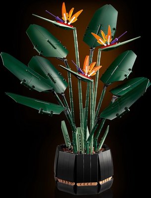 10289 LEGO Icons Paradijsvogelplant
