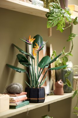 10289 LEGO Icons Paradijsvogelplant