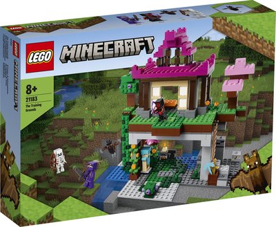 21183 LEGO Minecraft De Trainingsplaats