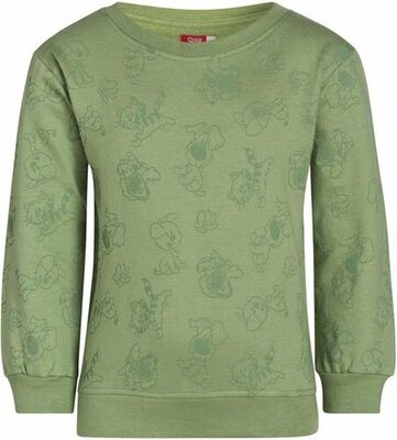 23486 Woezel en Pip  Sweater groen maat 116/122