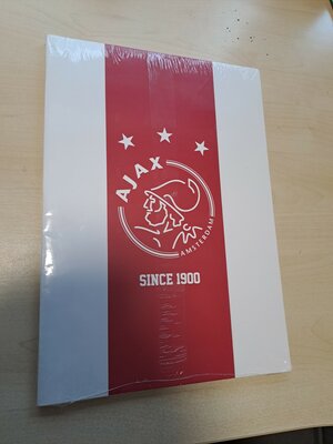 13799 AJAX Schriften A4 2x