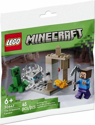 30647 LEGO Minecraft De Druipsteengrot polybag