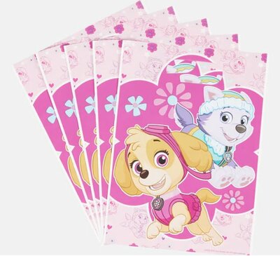 56018 Paw Patrol Feestzakjes Skye & Rocky Roze 10 stuks