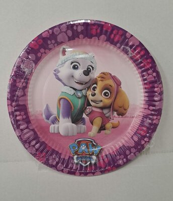 51445 Paw Patrol Kartonnen Bordjes 10 stuks Skye & Everest Roze