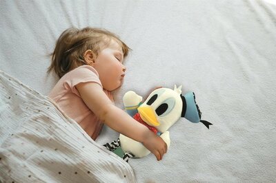 79213 Baby Clementoni Donald Duck  Knuffel met Geluiden  Rammelaar
