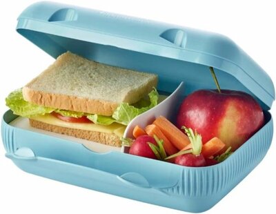 61890 Tupperware Eco+ SnackPack IJsblauw