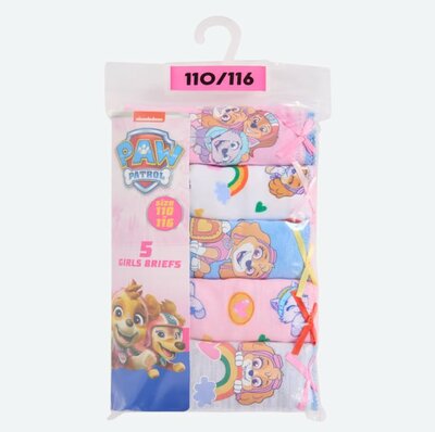 09528 Paw Patrol Skye Slip Maat 98-104  5 stuks