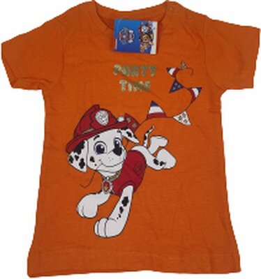 61128 Tshirt Paw Patrol Maat 74-80 Model Pup Marshall Oranje Koningsdag