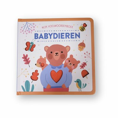 45562 Mijn voel woordenboek