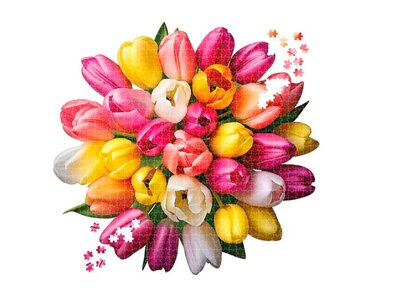 77742 Shaped Puzzles Tulips Bloemvormige Puzzel Ø 65 cm