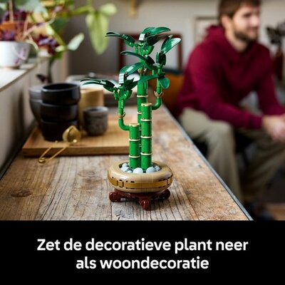 10344 LEGO Botanicals Bamboe