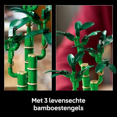 10344 LEGO Botanicals Bamboe