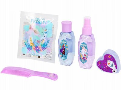15909 Frozen Gift Set 5 delig